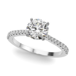 REMOUNT RING